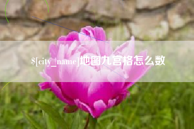 武义县地图九宫格怎么数