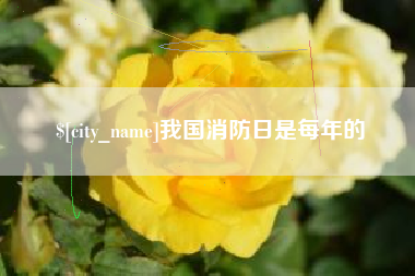 武义县我国消防日是每年的