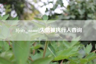 武义县失信被执行人杳询