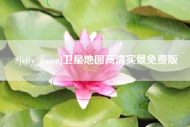 武义县卫星地图高清实景免费版