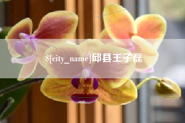 武义县邱县王子磊