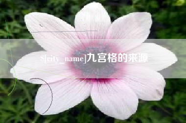 武义县九宫格的来源