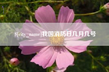 武义县我国消防日几月几号
