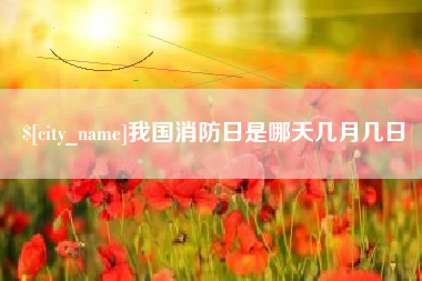 武义县我国消防日是哪天几月几日