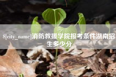 武义县消防救援学院报考条件湖南招生多少分