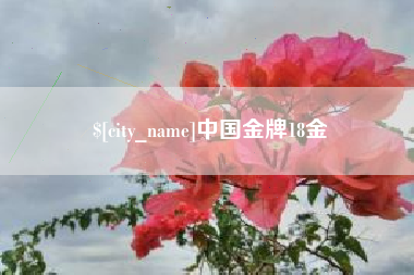 武义县中国金牌18金