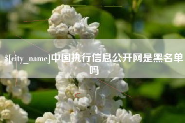 武义县中国执行信息公开网是黑名单吗