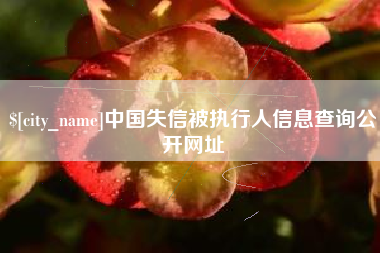 武义县中国失信被执行人信息查询公开网址