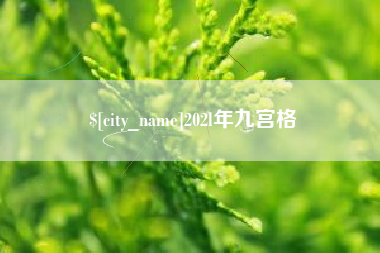 武义县202l年九宫格