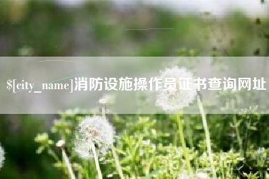 武义县消防设施操作员证书查询网址