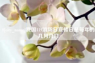 武义县我国119消防日宣传日是每年的几月几日
