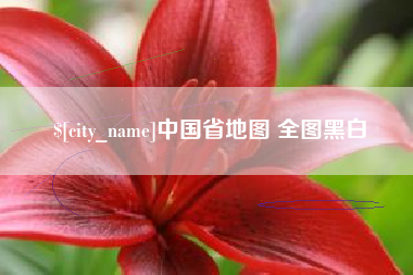 武义县中国省地图 全图黑白