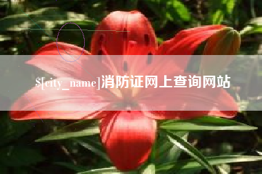 武义县消防证网上查询网站