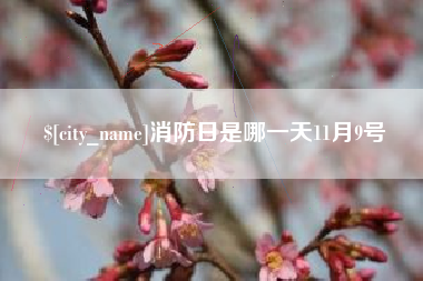 武义县消防日是哪一天11月9号