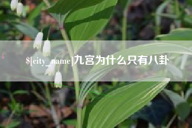 武义县九宫为什么只有八卦