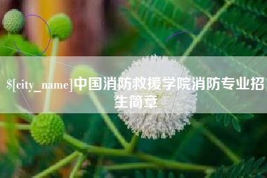 武义县中国消防救援学院消防专业招生简章