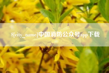 武义县中国消防公众号app下载