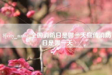 武义县全国消防日是哪一天宣传消防日是哪一天