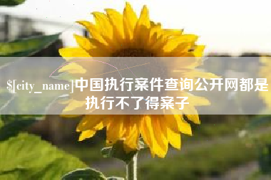 武义县中国执行案件查询公开网都是执行不了得案子