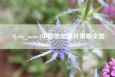 武义县中国地图图片清晰全图