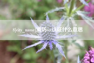 武义县消防ccc认证什么意思