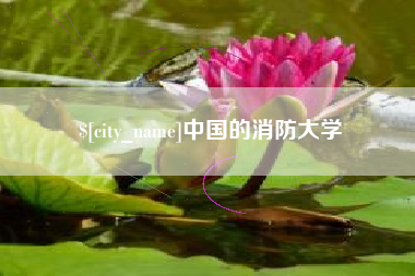 武义县中国的消防大学