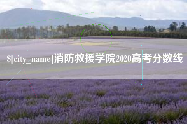 武义县消防救援学院2020高考分数线