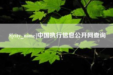 武义县中国执行信息公开网查询