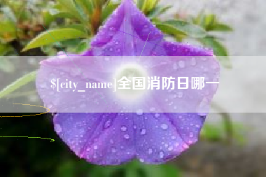 武义县全国消防日哪一