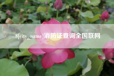 武义县消防证查询全国联网