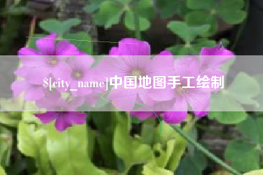 武义县中国地图手工绘制