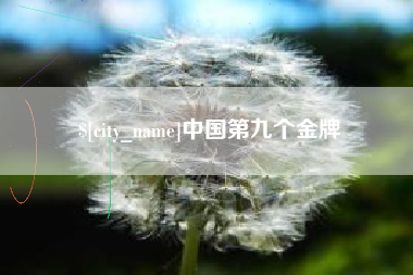 武义县中国第九个金牌