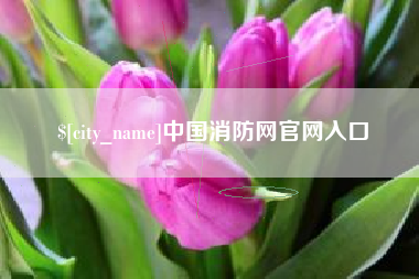 武义县中国消防网官网入口