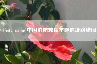 武义县中国消防救援学院地址路线图