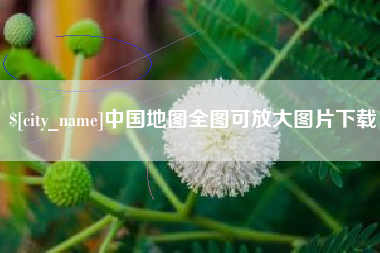 武义县中国地图全图可放大图片下载