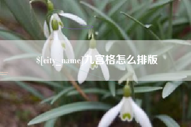 武义县九宫格怎么排版