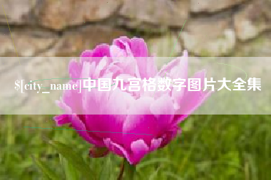武义县中国九宫格数字图片大全集