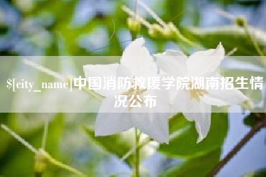 武义县中国消防救援学院湖南招生情况公布