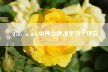 武义县中国金牌都是哪个项目