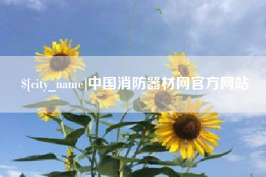 武义县中国消防器材网官方网站