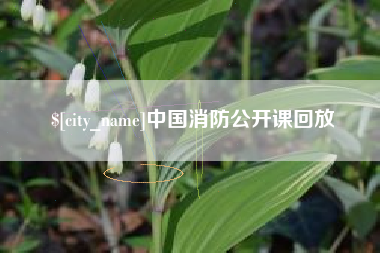 武义县中国消防公开课回放