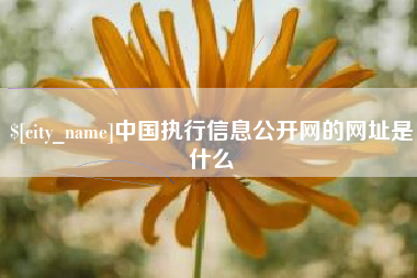武义县中国执行信息公开网的网址是什么