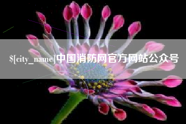武义县中国消防网官方网站公众号