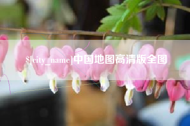 武义县中国地图高清版全图