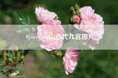 武义县古代九宫图片