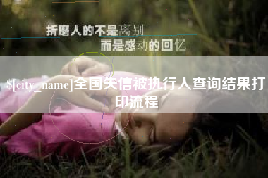 武义县全国失信被执行人查询结果打印流程