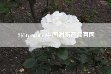 武义县中国消防产品官网
