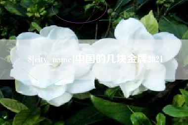 武义县中国的几块金牌2021