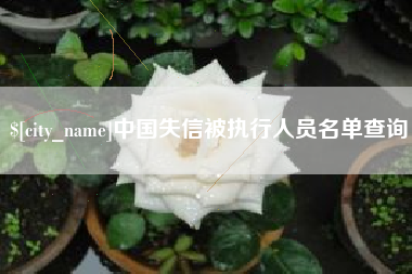 武义县中国失信被执行人员名单查询