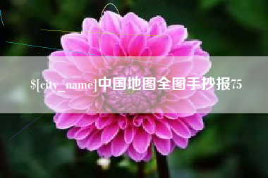 武义县中国地图全图手抄报75